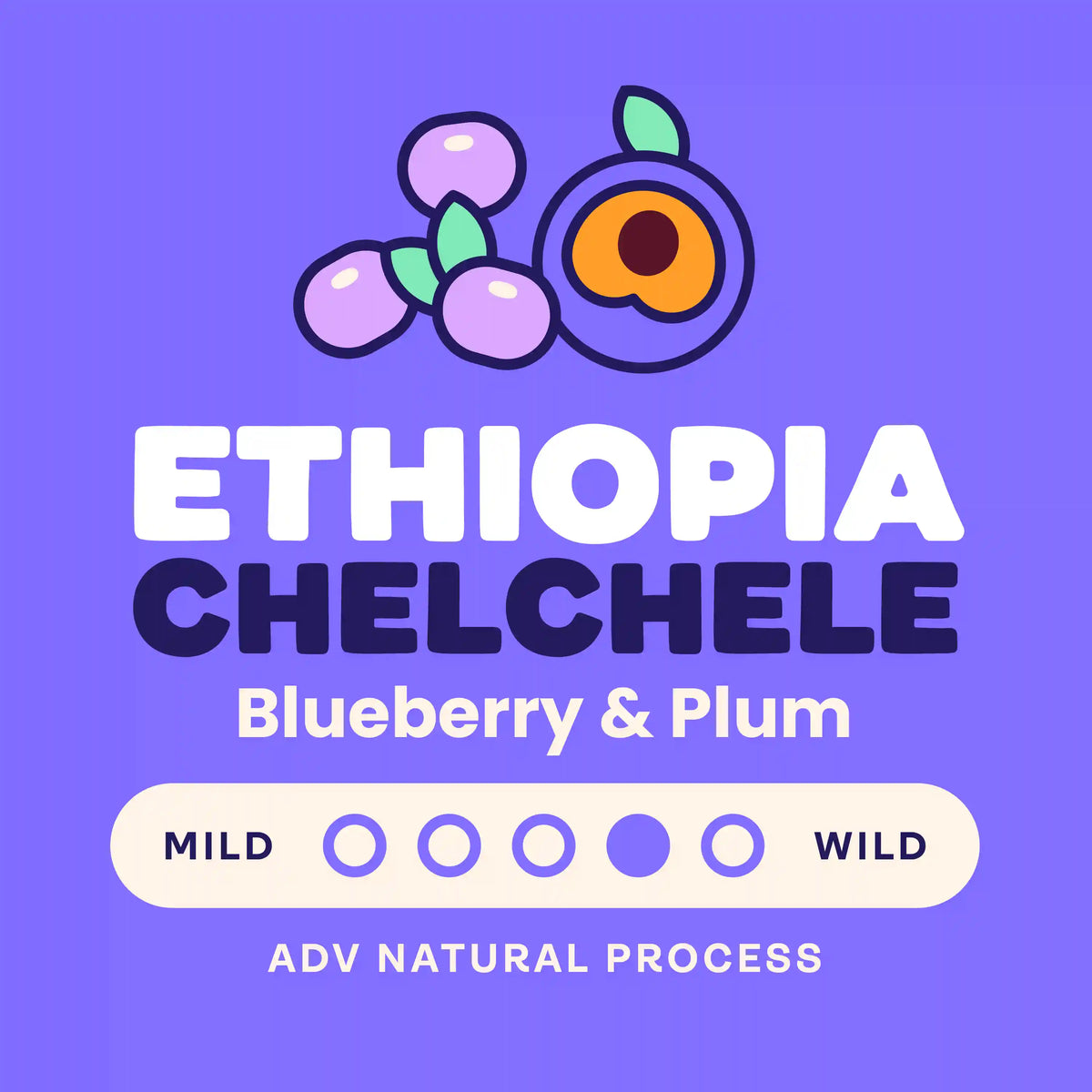 Ethiopia Chelchele
