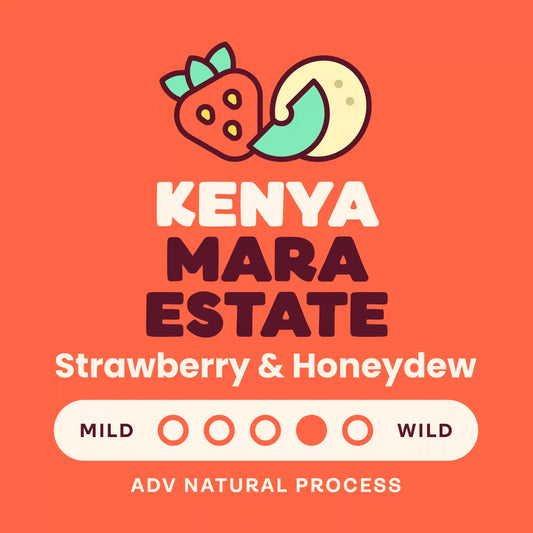 Kenya Mara Estate